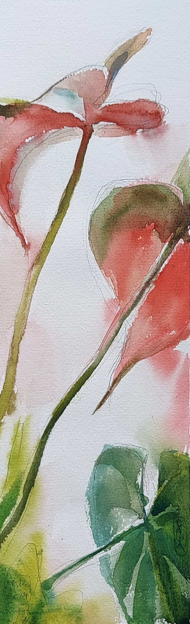 Flowers. Alexander Manaenkov | Watercolor Artist from Siberia