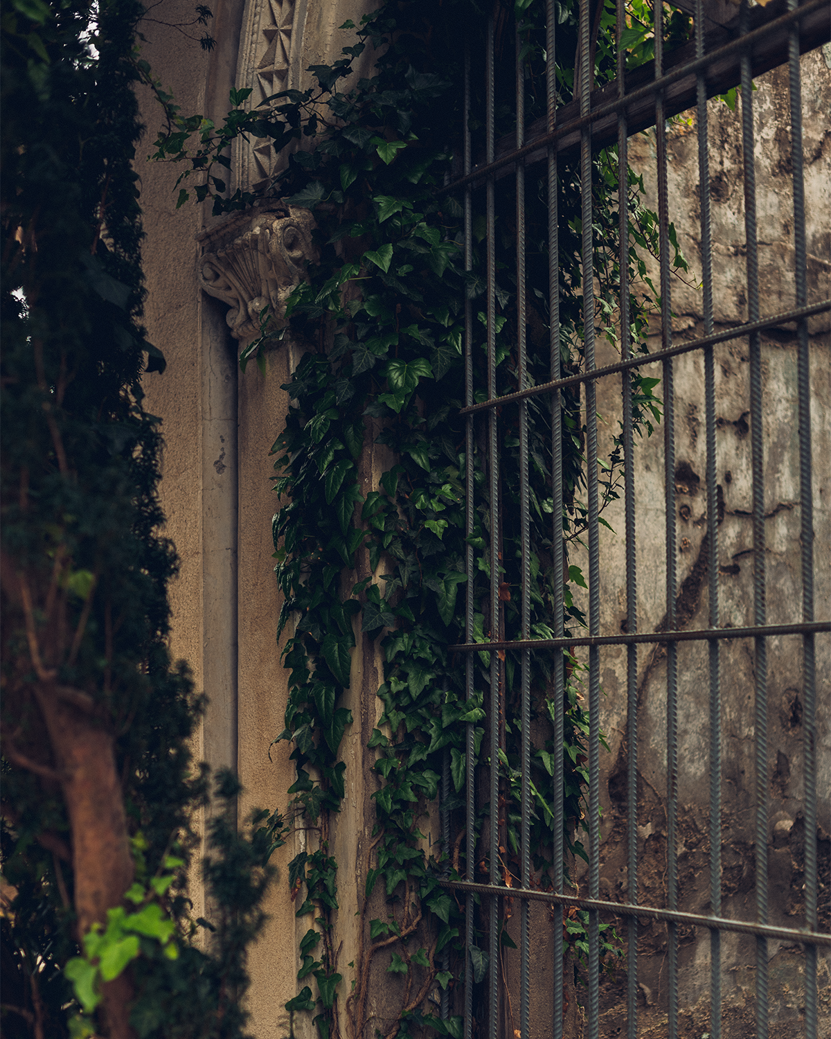 Абхазия в объективе: путешествие рекламного фотографа из Гуанчжоу. Коммерческий и предметный фотограф в Гуанчжоу Коваленко Александр