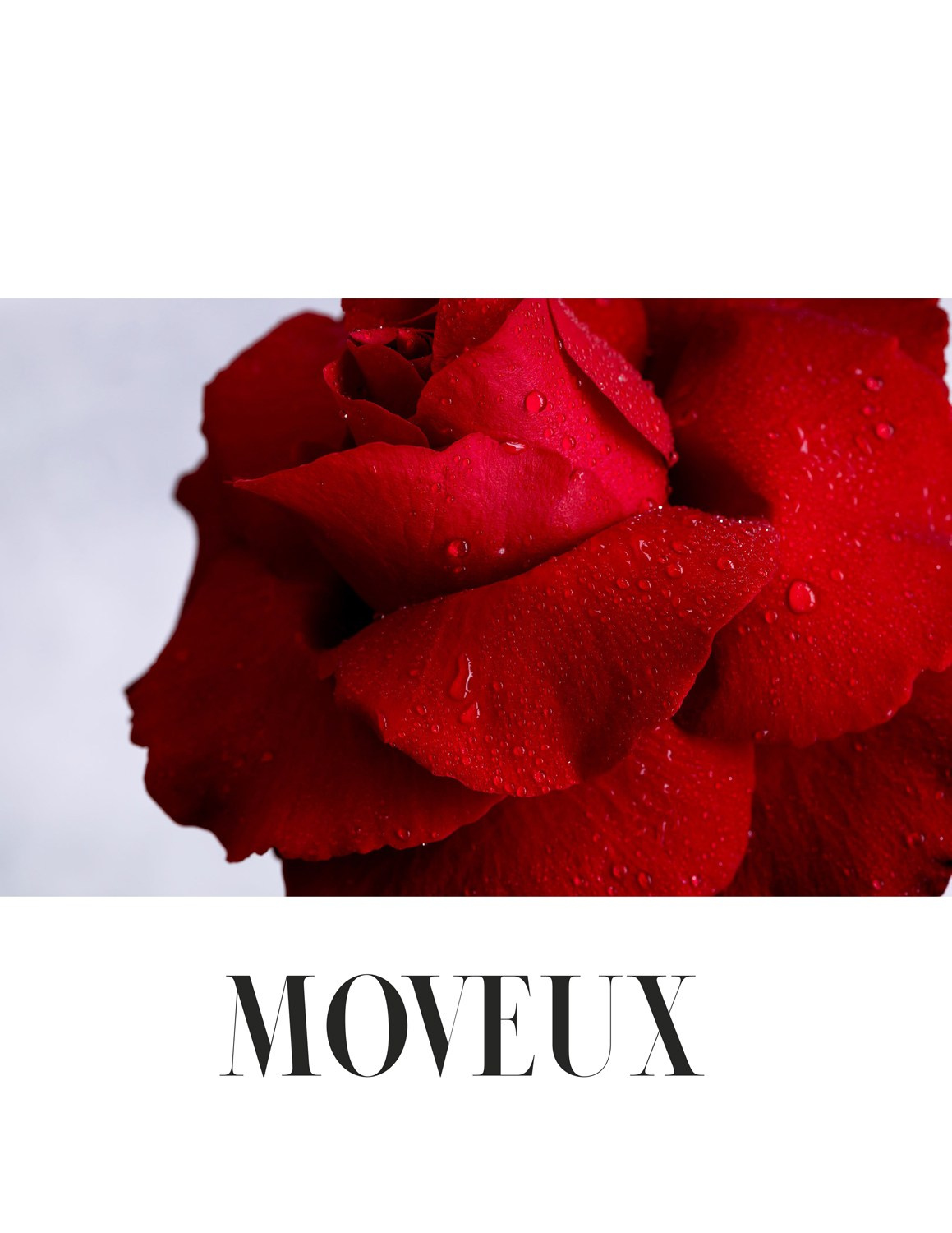 Exhibitions. Author’s fine art prints with international delivery