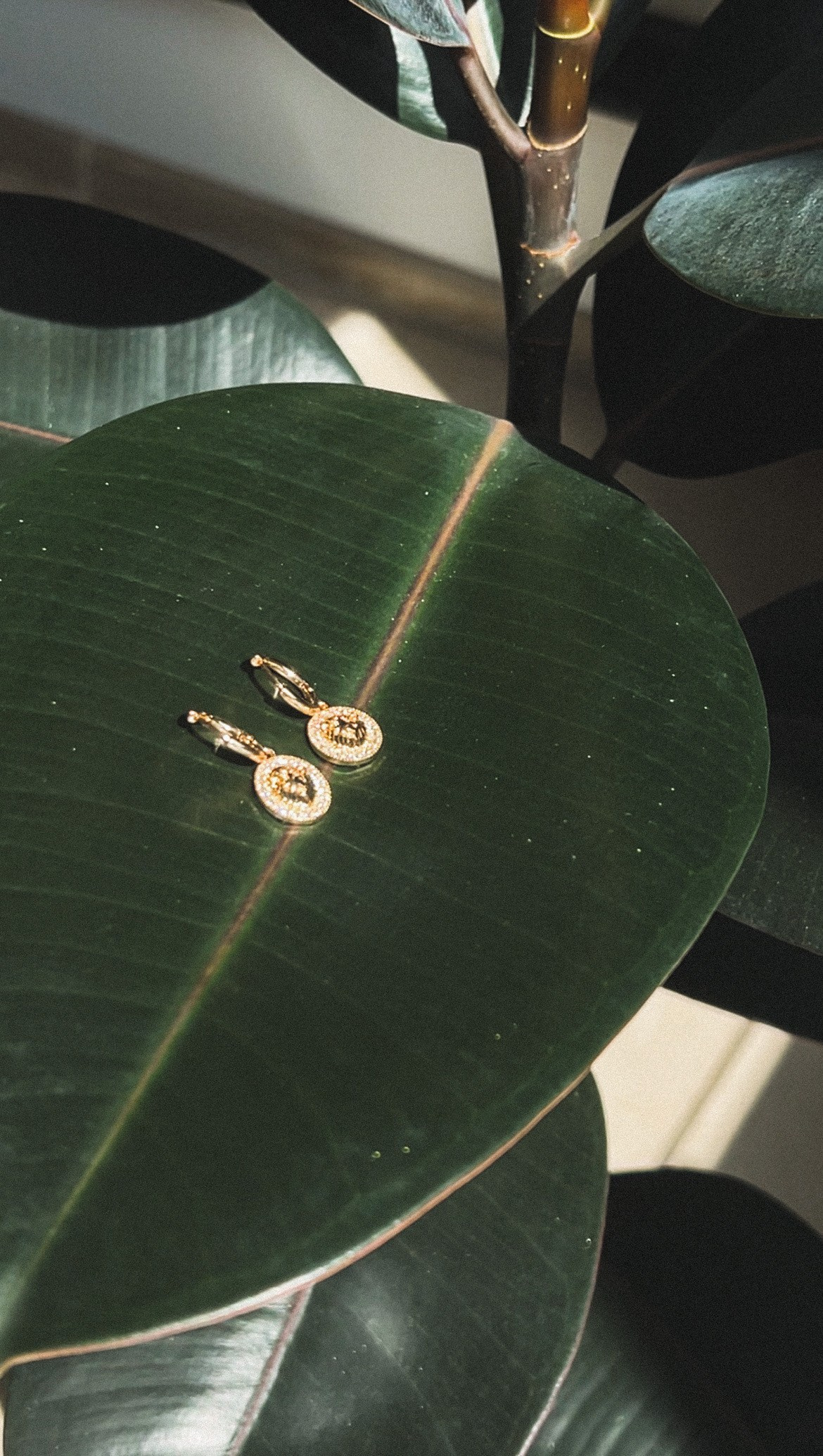 Магазин бижутерии. Фотограф в Каспийске