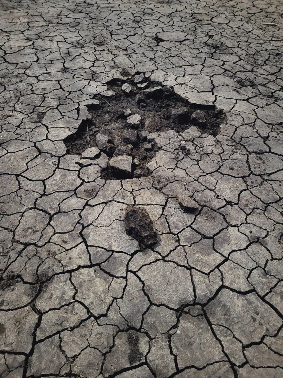 Проект «366»|2024|Фото каждый день. LENA GRACE photographer ||ЛЕНА ГРЭЙС фотограф