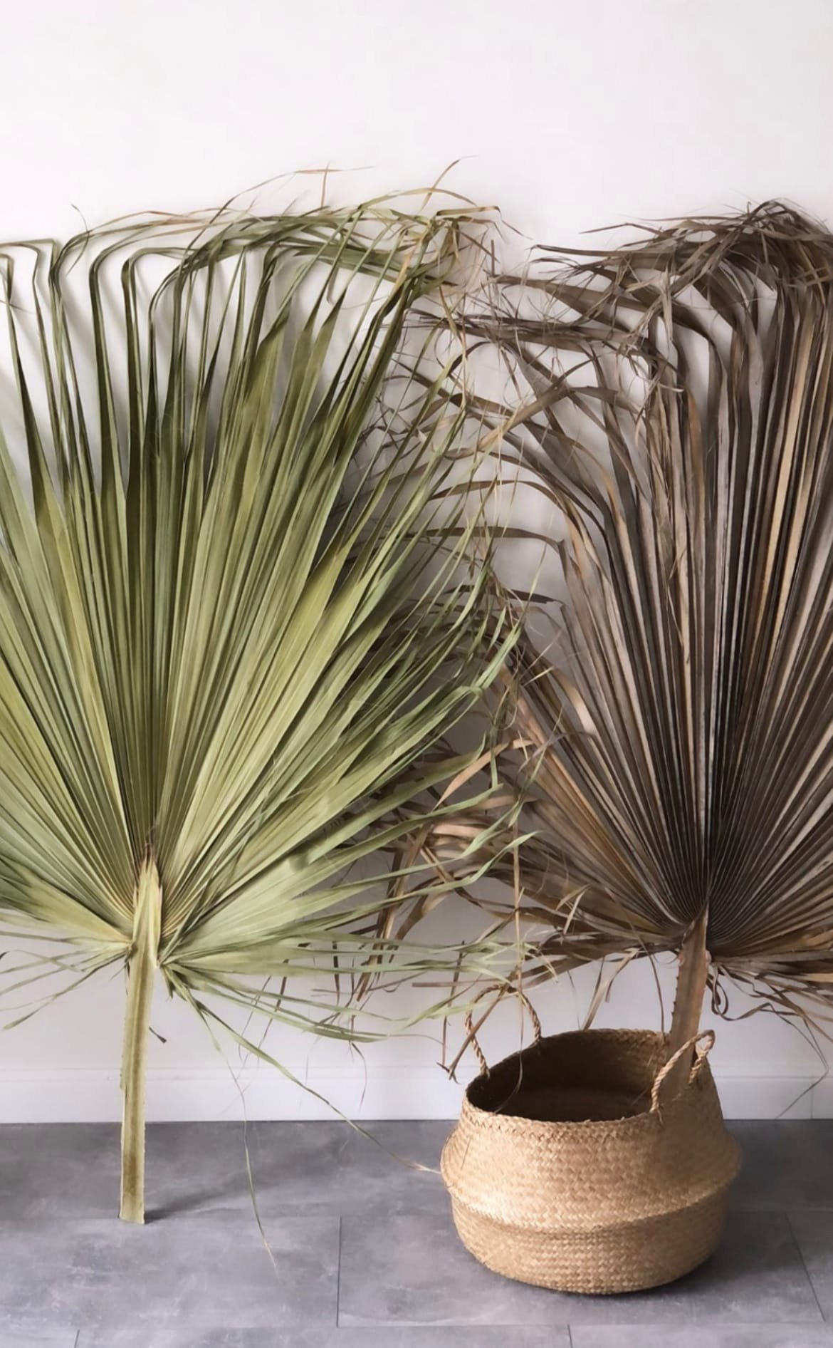 Frida. Фотограф новорожденных Тверь Диана Муляева