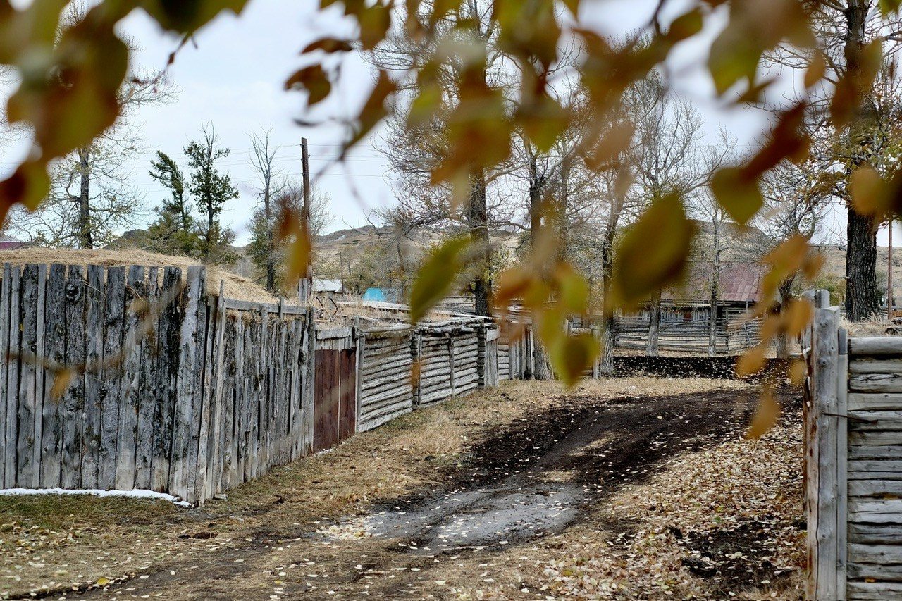 Алтай. Фотограф Евгений Андреев