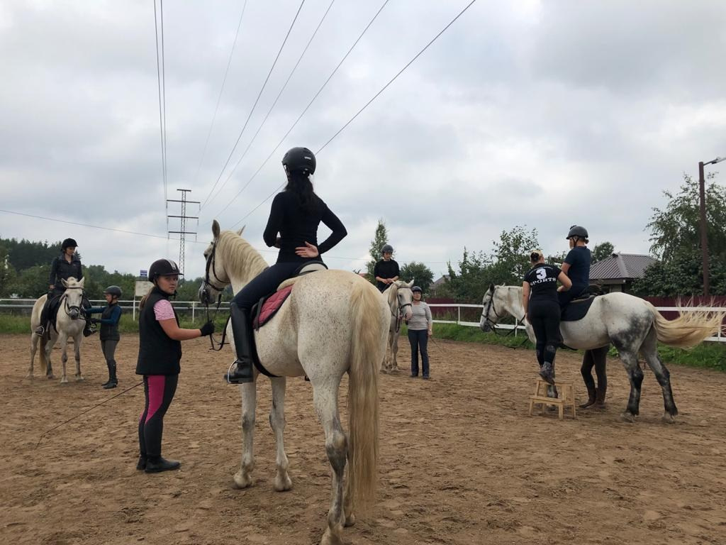 Наша жизнь. КСК Тагир