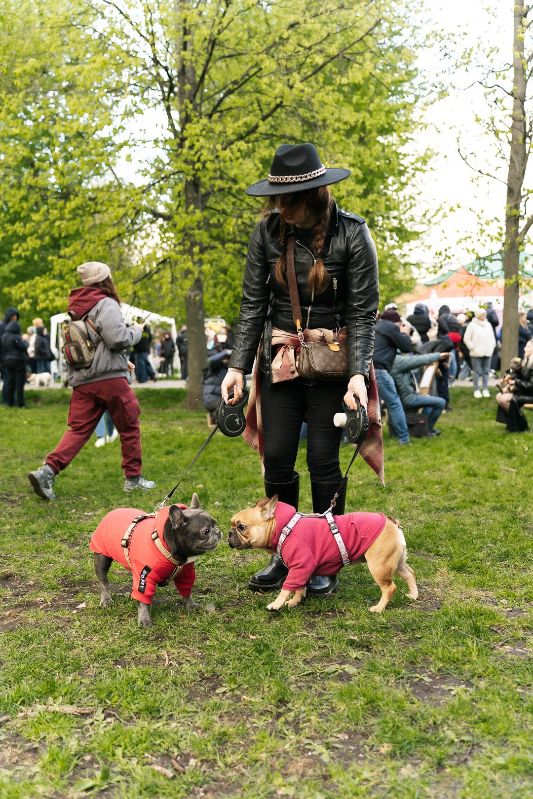 Парад Бульдогов. Axenov_eugene