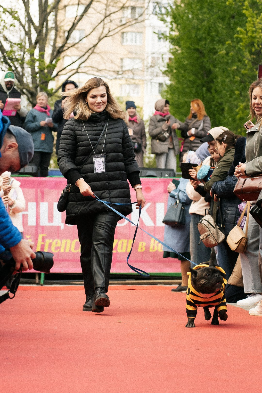 Парад Бульдогов. Axenov_eugene