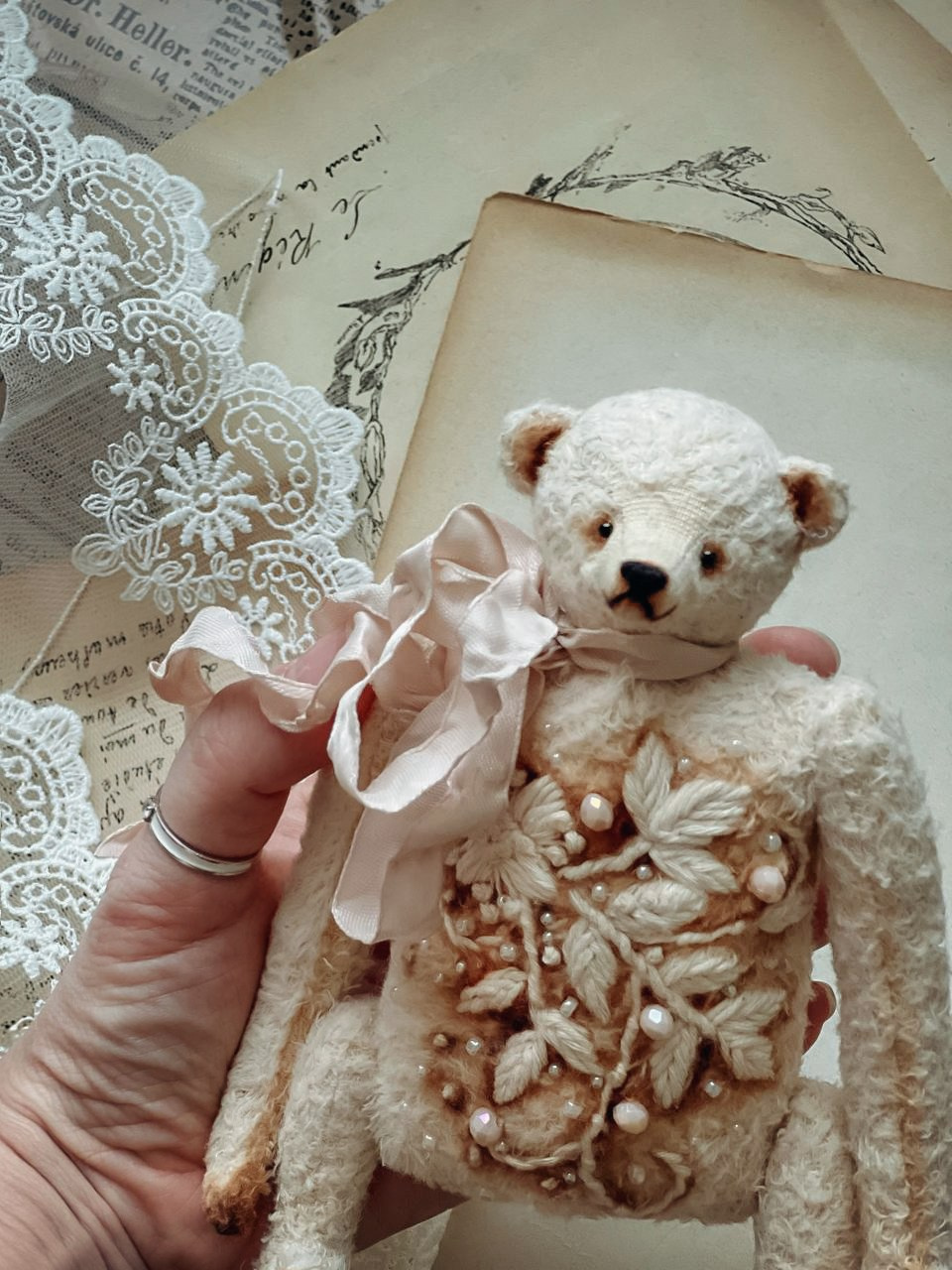 Тедди. Фотограф Ольга Сальманович