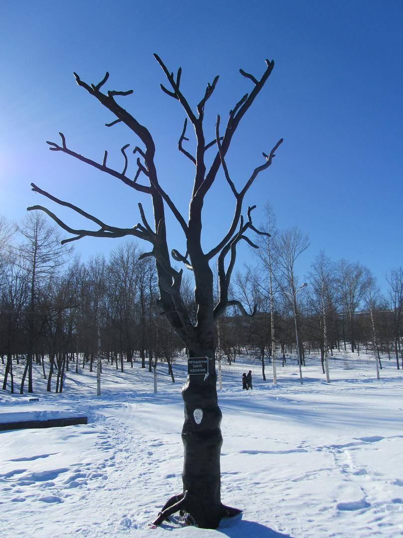 Петрозаводск. Блог Бурёшкина