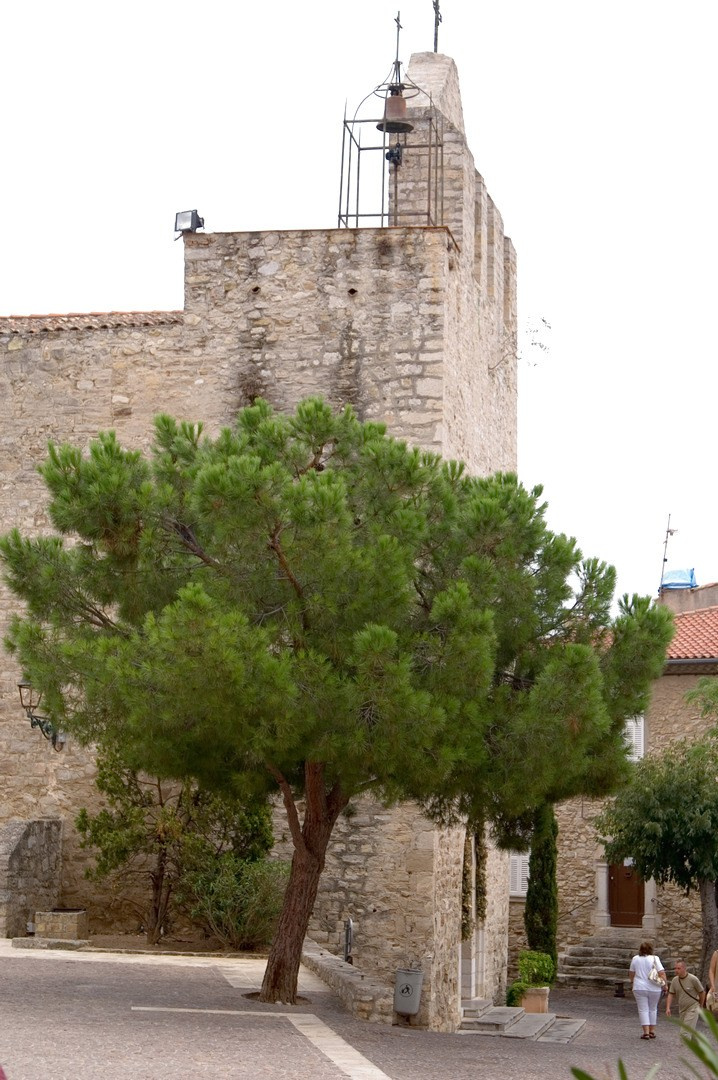 Круиз 2006 г. Улица, люди, жизнь…