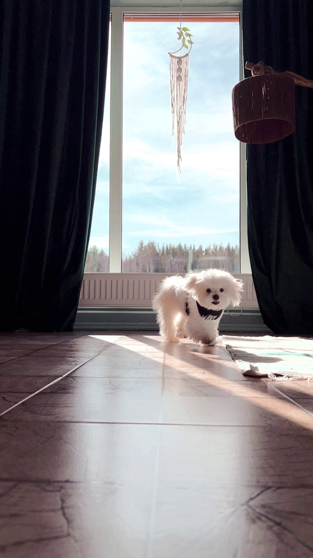 Биба и Боба — фото и видео