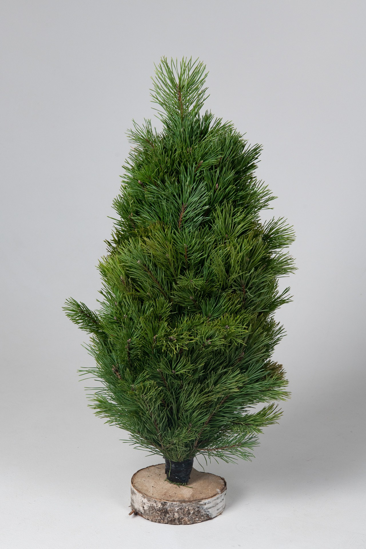 Предметная съемка елок. Фомина Елена Свадебный и семейный фотограф