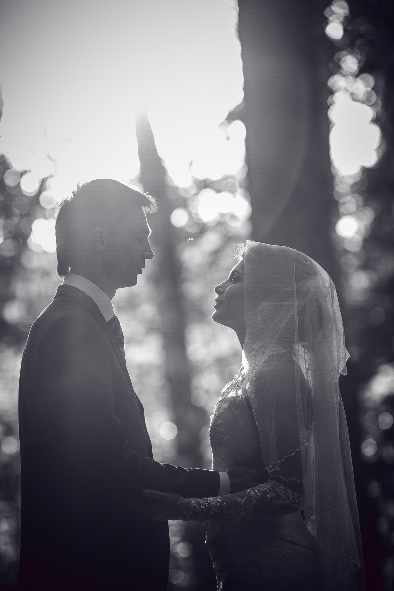 חתונה ומשפחה. יבגני פלבין. צלם. תעשייה, דיווחים, חתונות, פורטרט