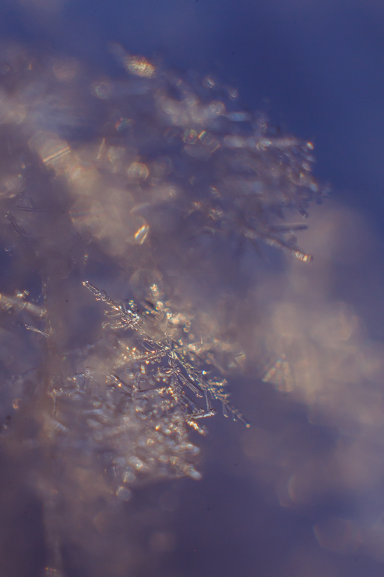 Science and laboratories. Evgeny Pelevin. Photographer. Industry, reporting, weddings, portrait