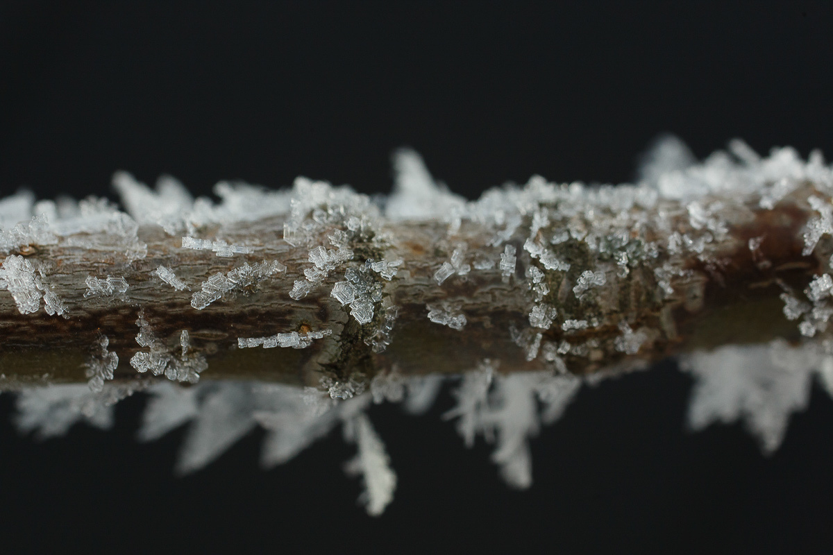 Science and laboratories. Evgeny Pelevin. Photographer. Industry, reporting, weddings, portrait