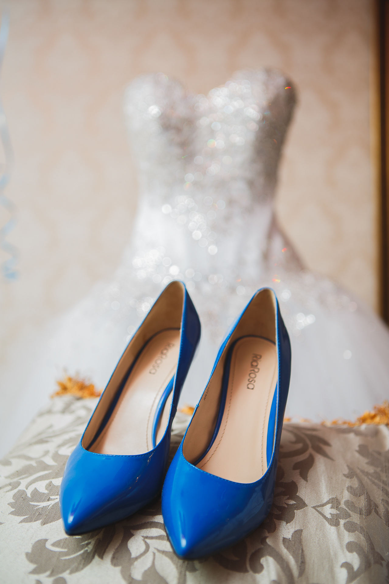 חתונה ומשפחה. יבגני פלבין. צלם. תעשייה, דיווחים, חתונות, פורטרט