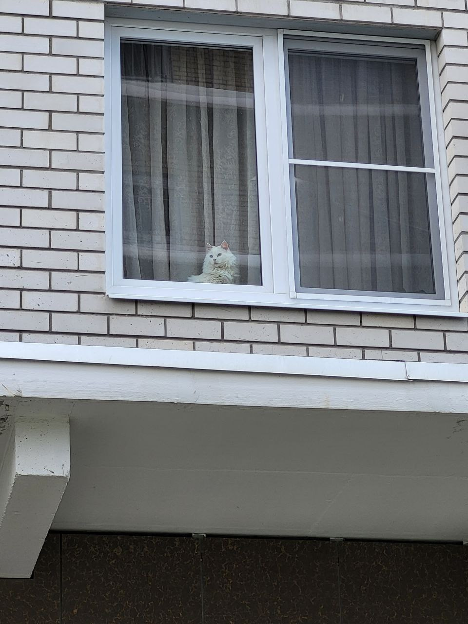 Проект «366»|2024|Фото каждый день. LENA GRACE photographer ||ЛЕНА ГРЭЙС фотограф