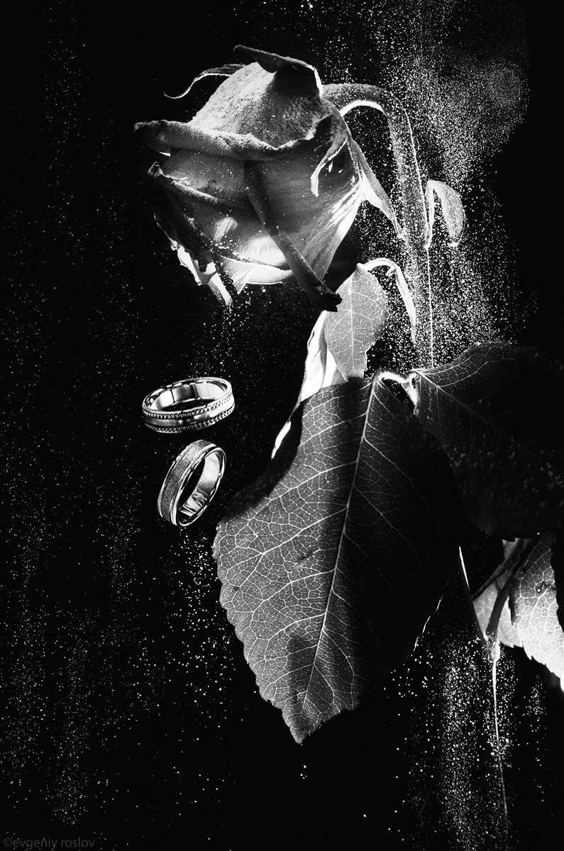 Авторская коллекция семейных портретов. Evgeniy Roslov