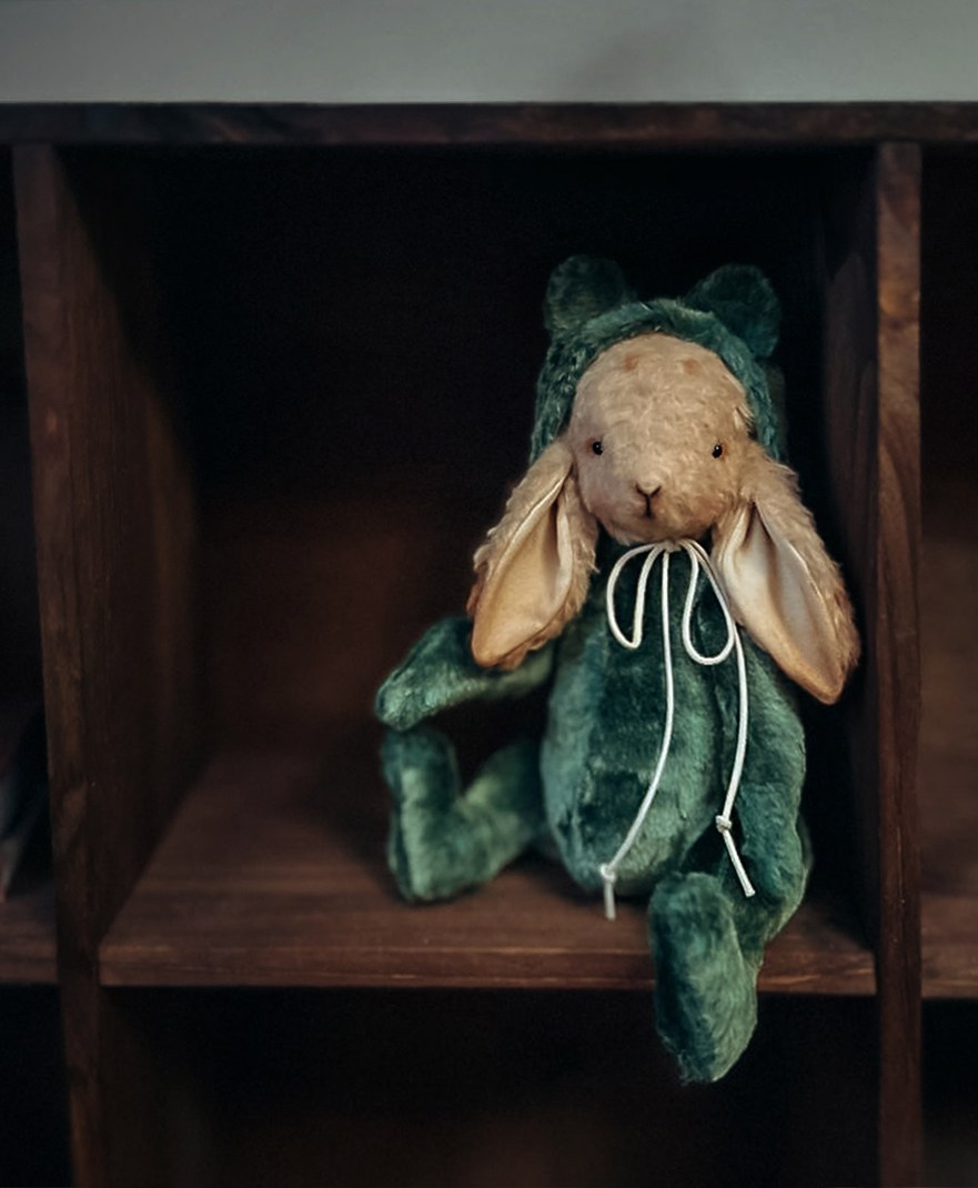 Тедди. Фотограф Ольга Сальманович