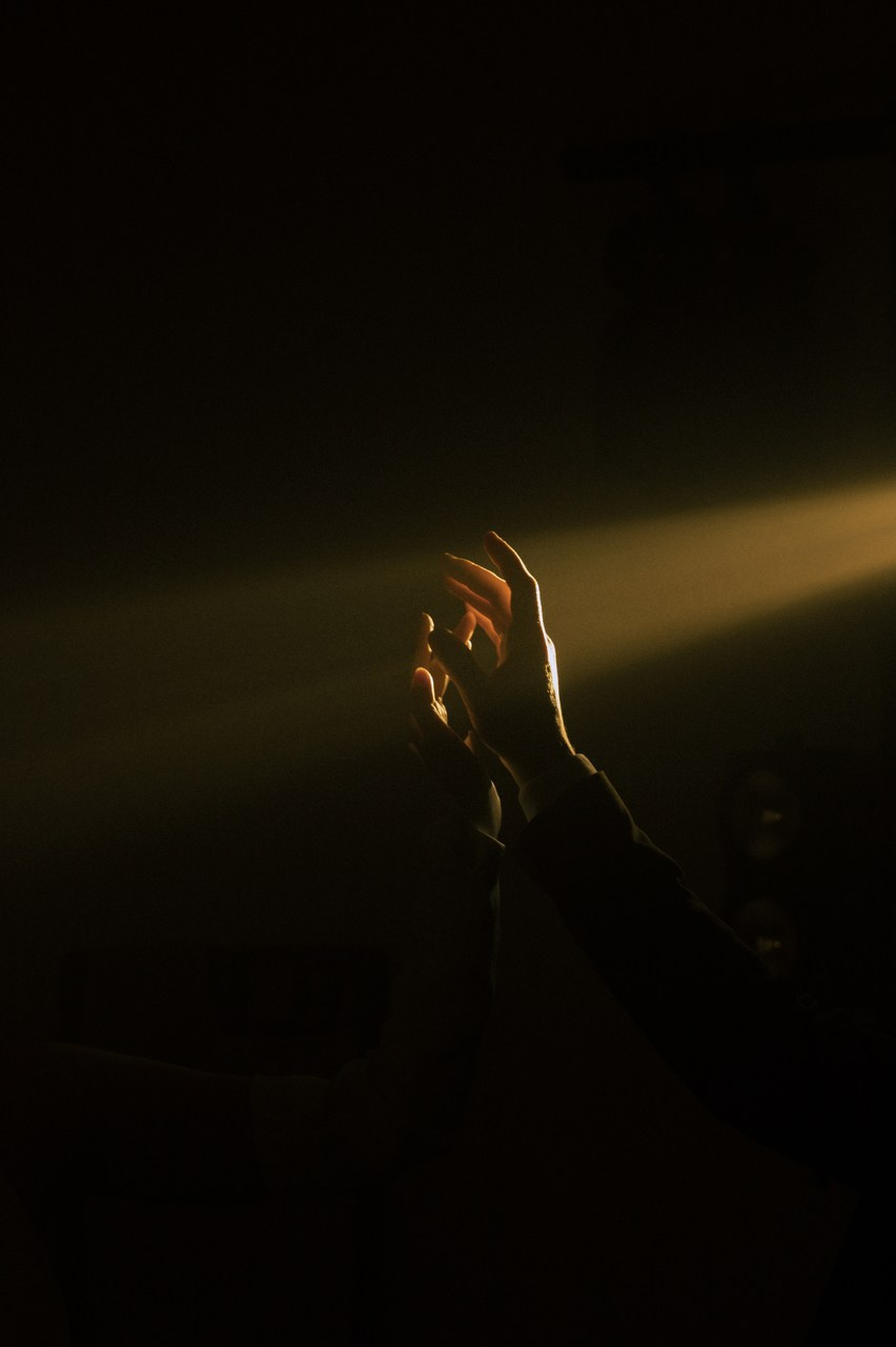 Лиза и Егор. Свадебный и семейный фотограф