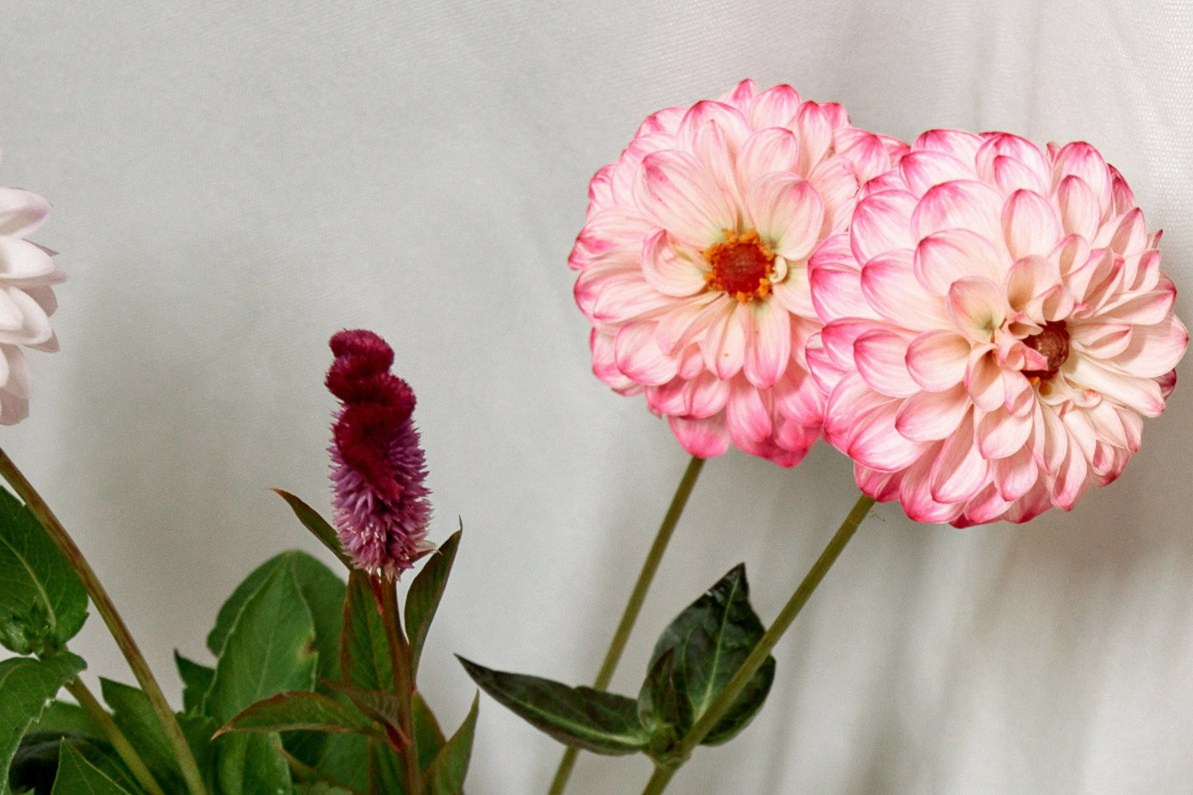 Украшение свадебного банкета в Ульяновске. Фотограф Елена Орешина