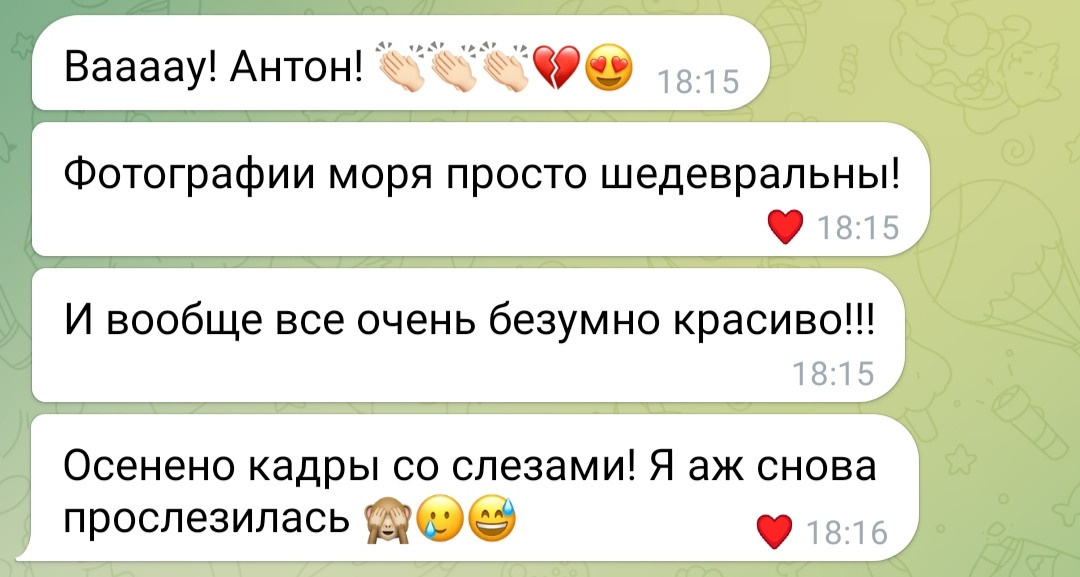 Ваши отзывы. Kartascheff