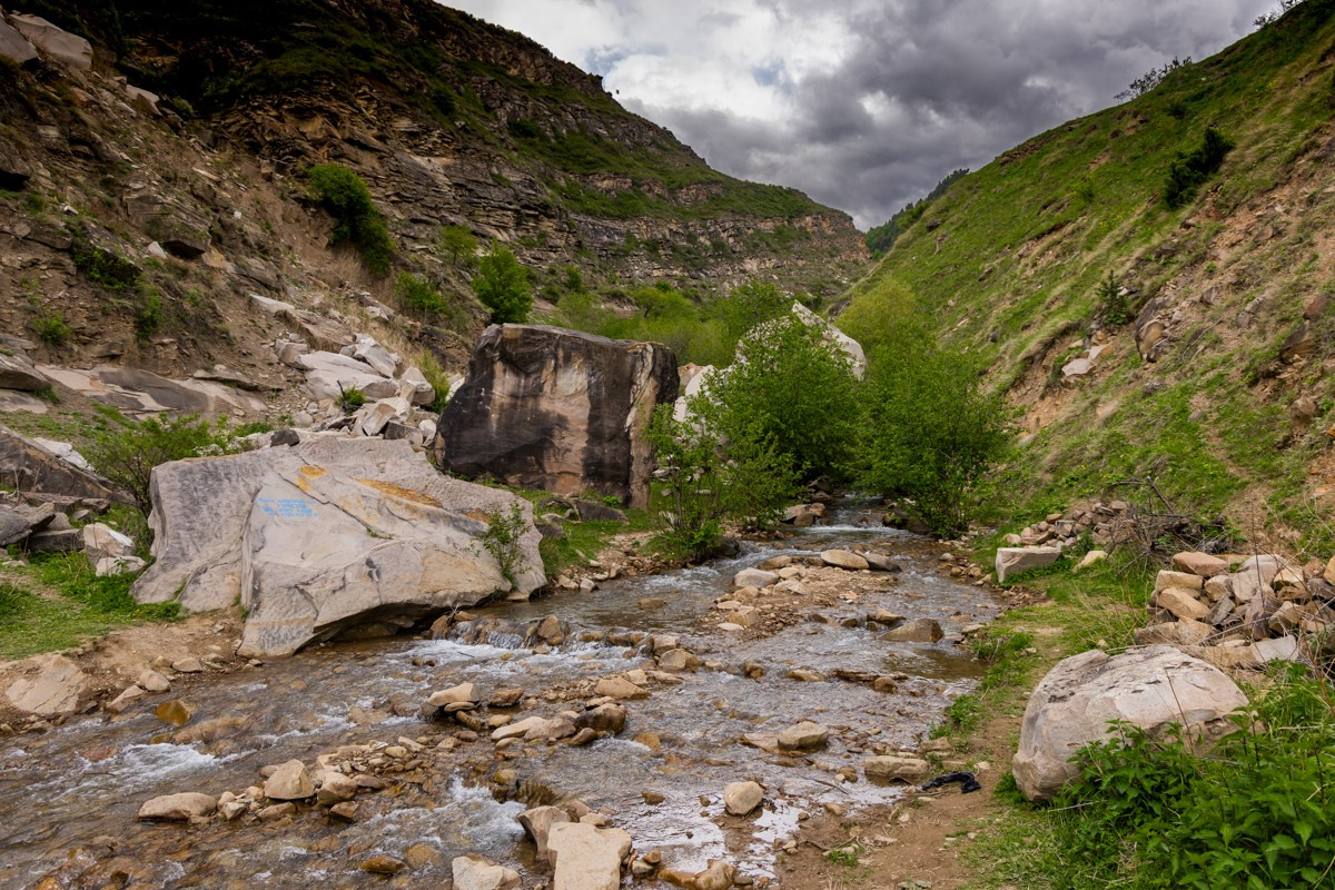 Аул Кахиб. Photomantis