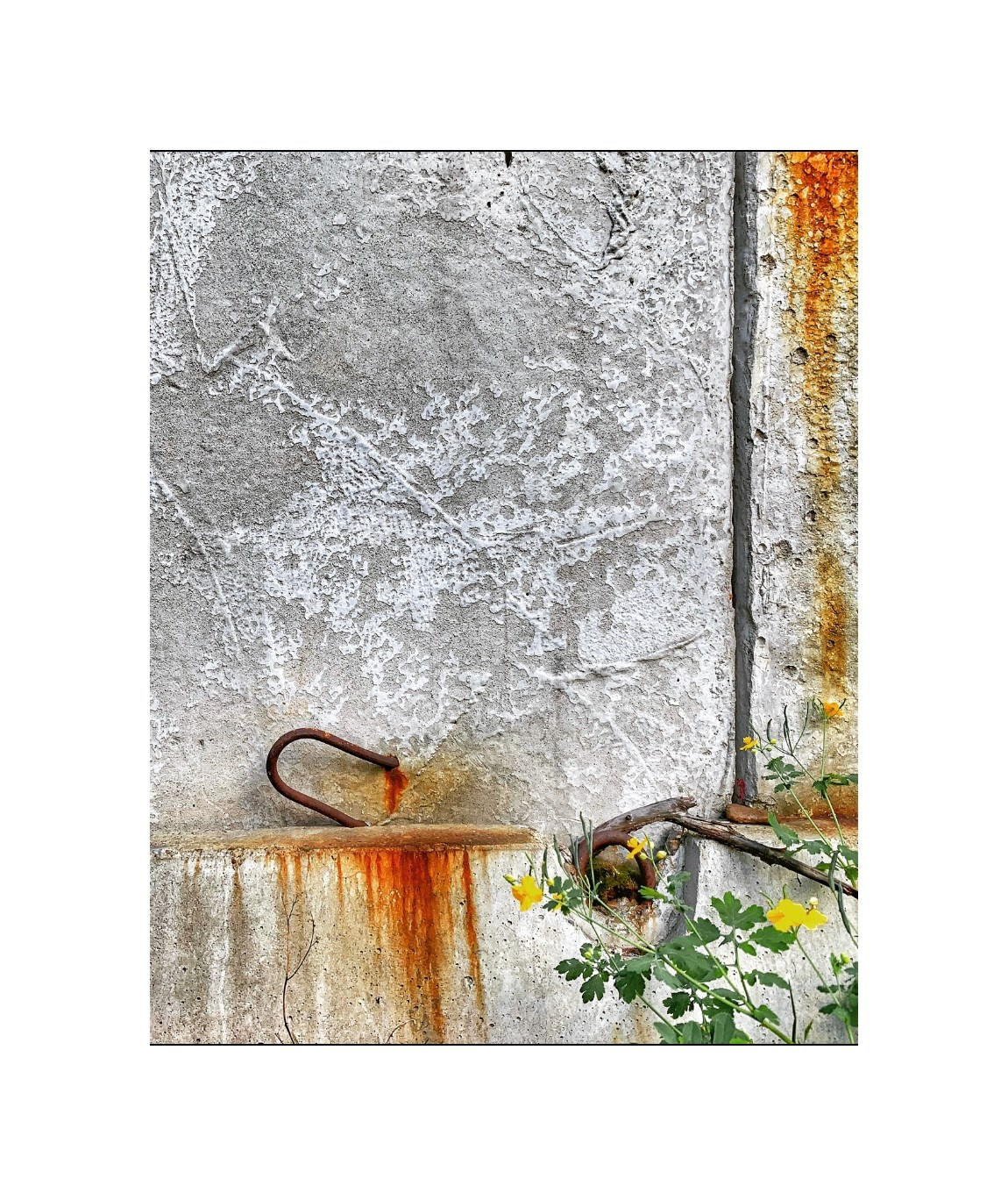 2023. Тащилин Сергей. Фотографии. Жизнь. Хобби