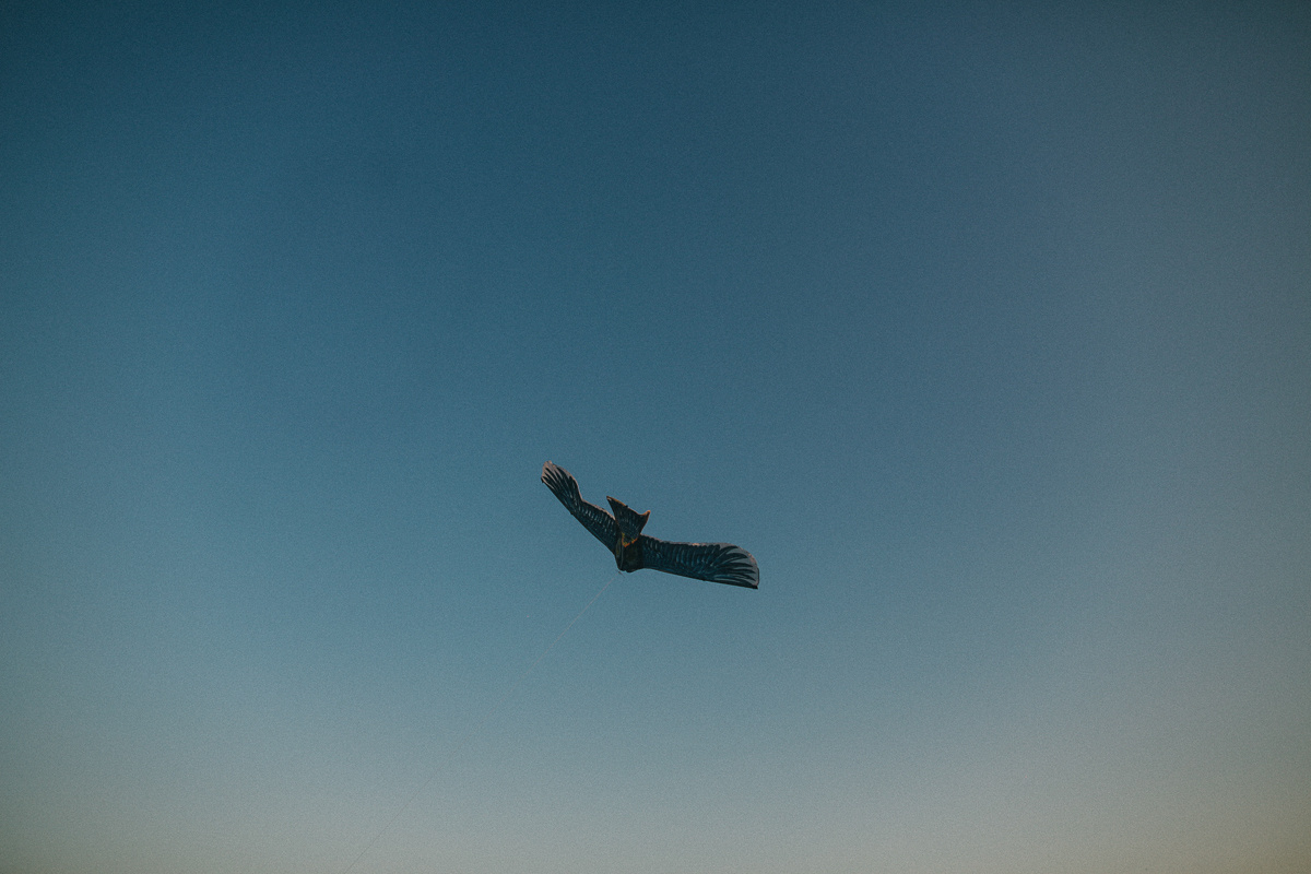 Луч солнца золотого. Соня Черных (sophieblack)