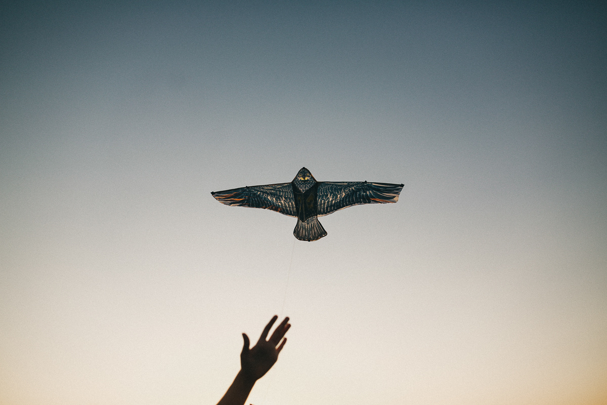 Луч солнца золотого. Соня Черных (sophieblack)