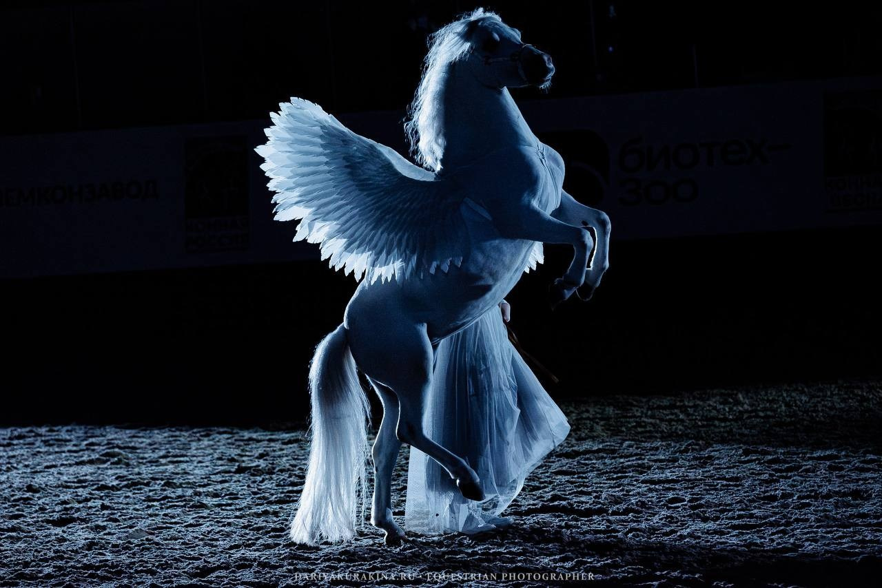 КОННАЯ ВЕСНА 2025. Куракина Дарья • Конный фотограф