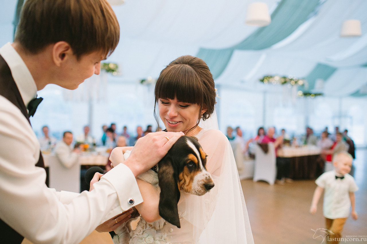 Иван да Марья. 7 мая 2017. Свадебный организатор в Ростове-на-Дону Яснов Роман