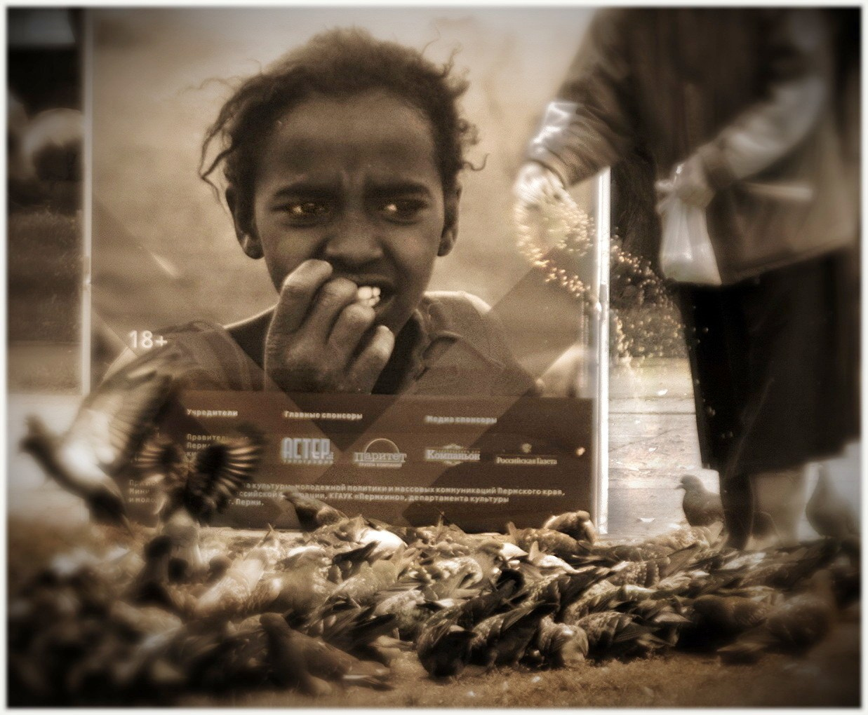 голод.голубь.афиша. доброта.забота.любовь и голуби