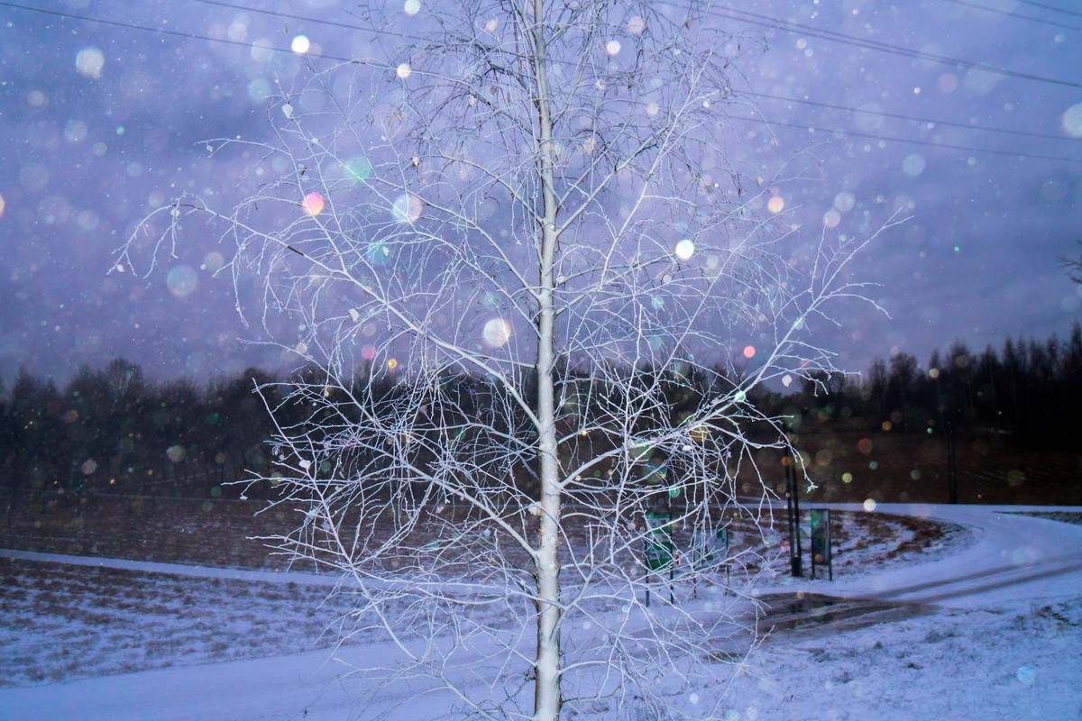 Симуляторы (Каталог № 4). Главная