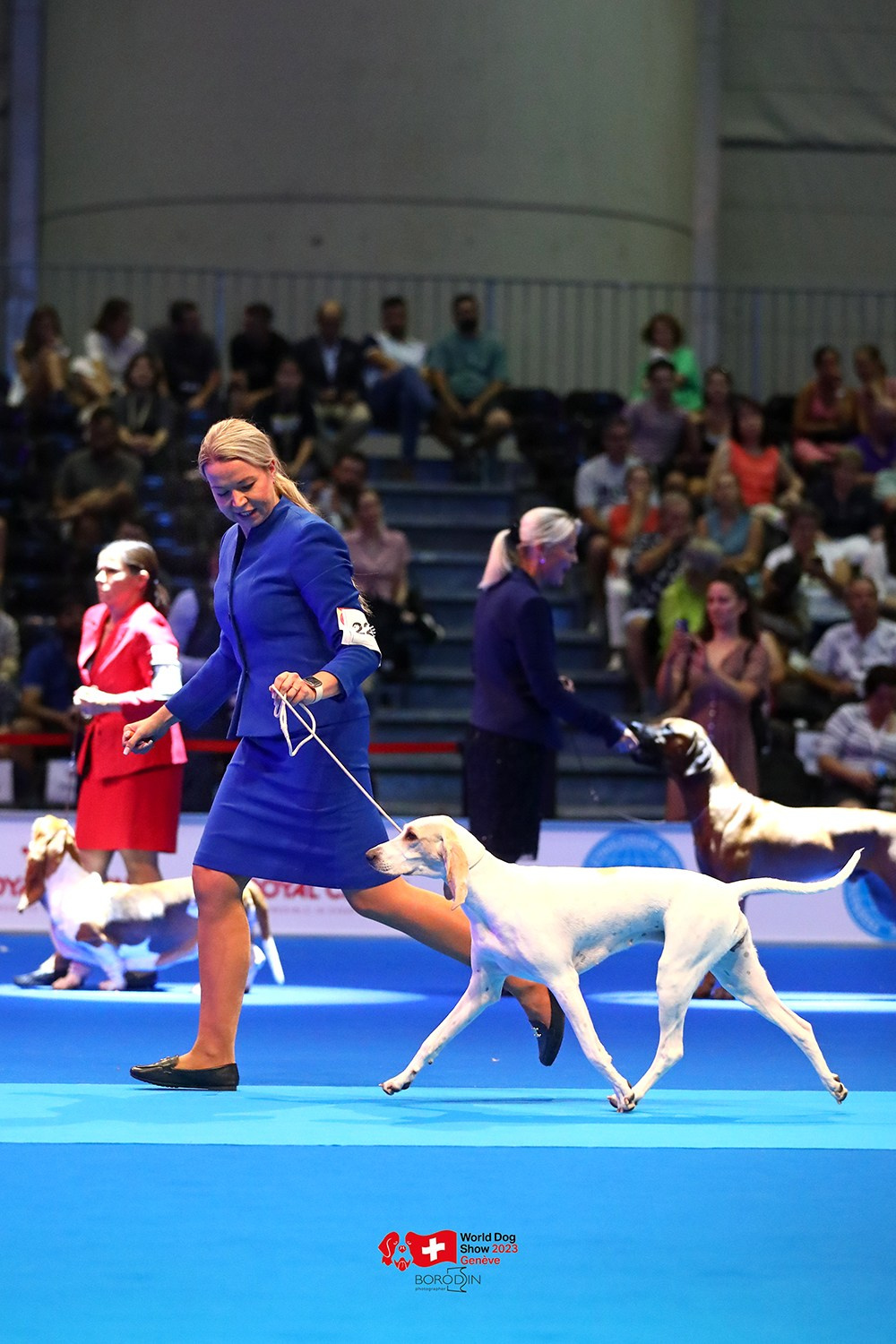 24-27.08.2023 WDS Geneva. Фотограф Дмитрий Бородин