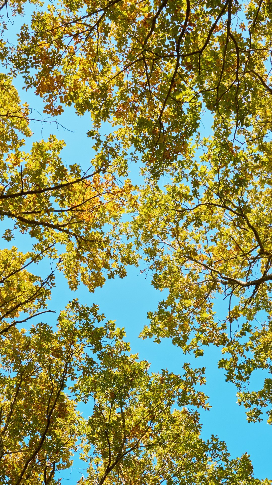 Обои — Текстуры. Яркие фото на Чёрном море