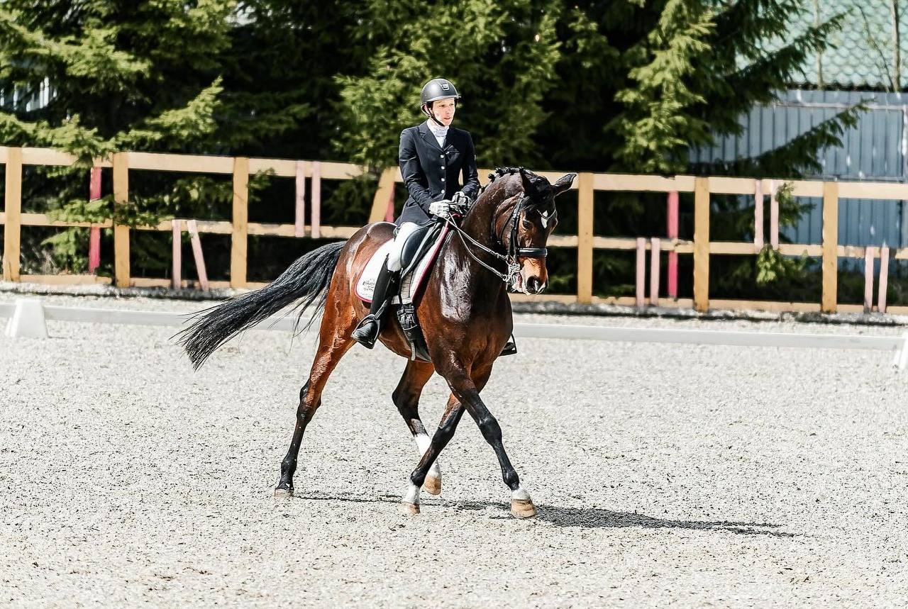 Кубок Московской области по выездке, КСК «Эквиторус». Конный фотограф Куракина Дарья • Фотосессии с лошадьми