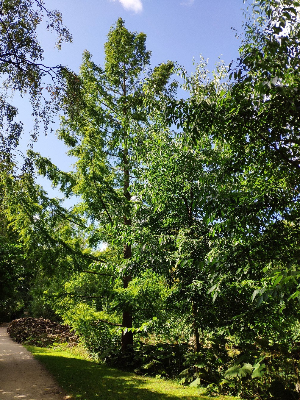 Копенгаген (Дания)