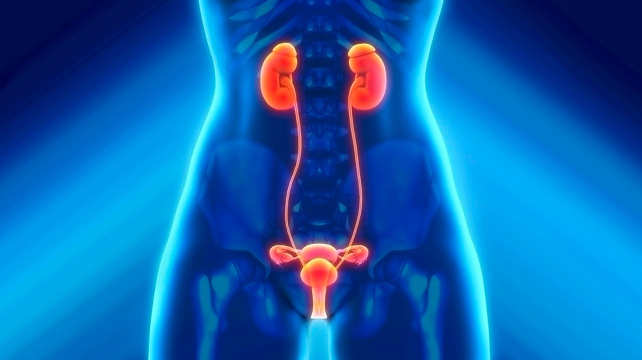 Готовые курсы приема продукции компании Сово-Сова. Сово-Сово — Омоложение и оздоровление!