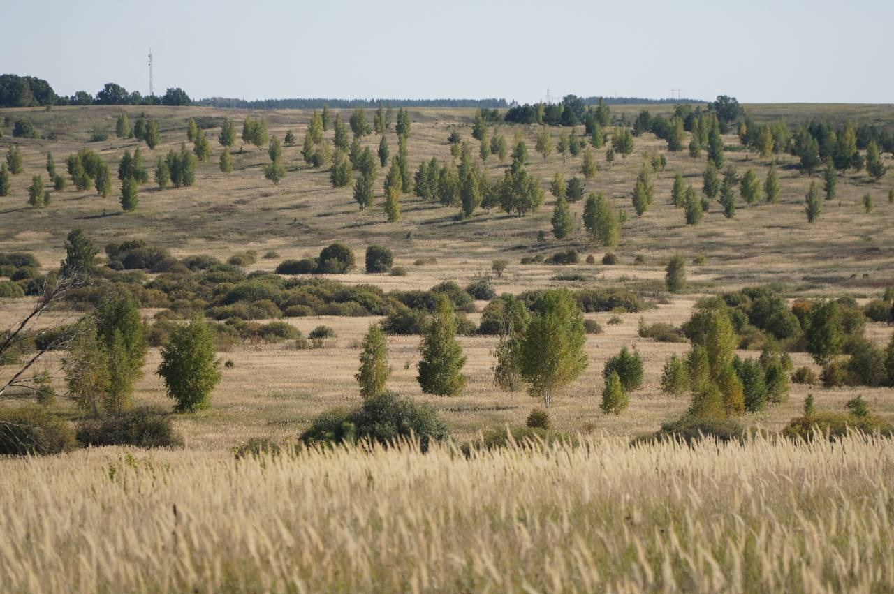 Кинокомиссия Республики Мордовия