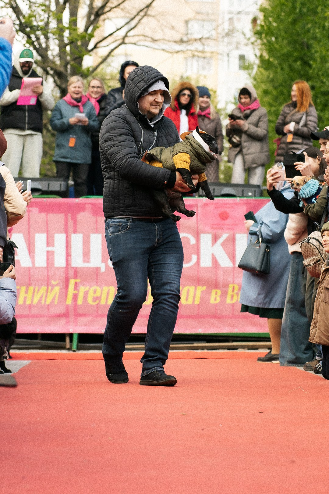 Парад Бульдогов. Axenov_eugene