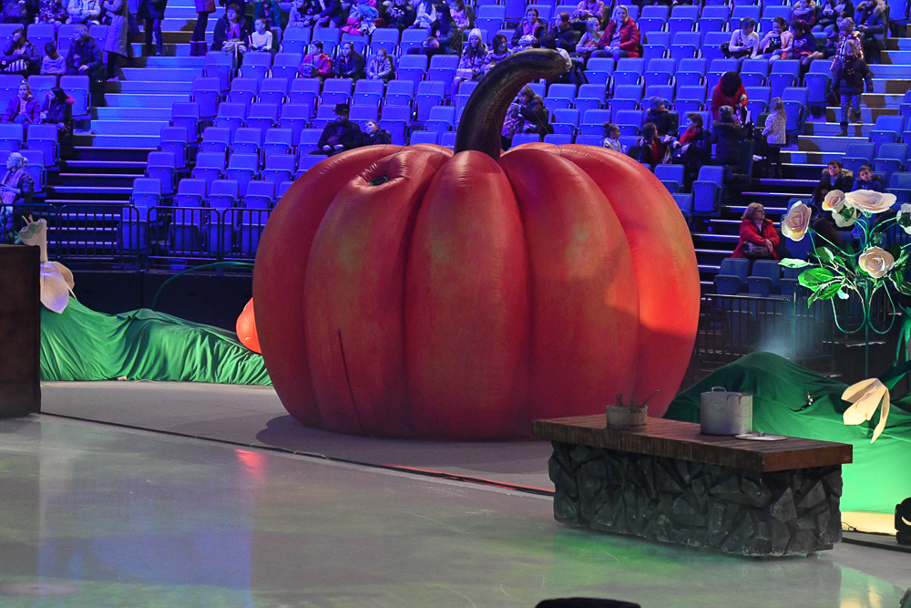 Золушка ч1. Губернаторская ёлка 27/12/2019. ФК Фотограф в Санкт-Петербурге Наталья Понарина