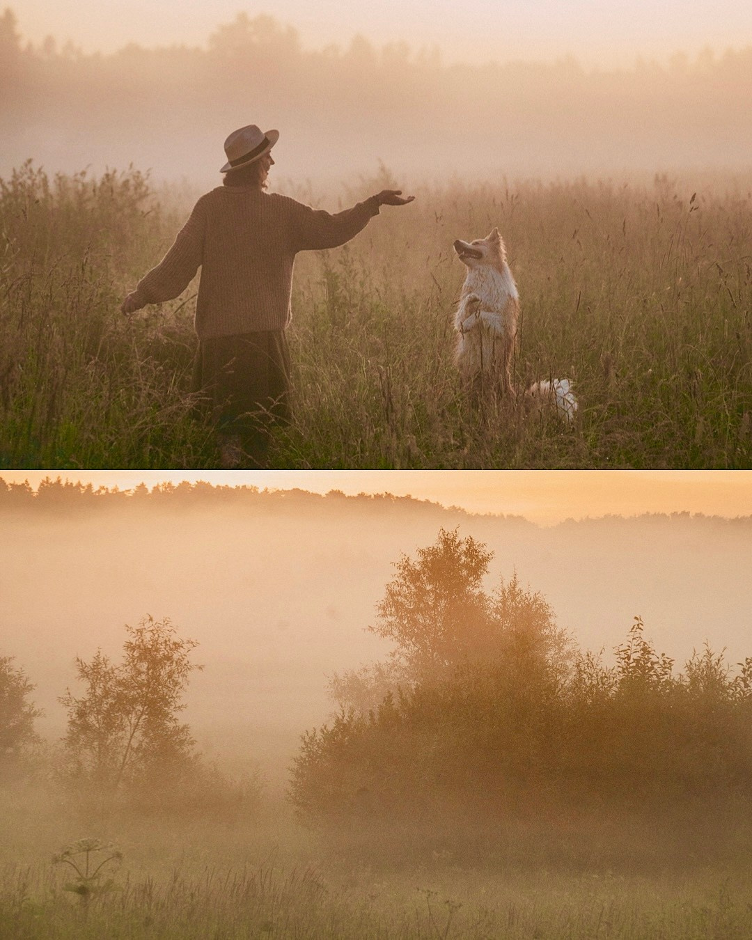 Рина и Марси. Фотограф анималист в Москве и Санкт-Петербурге Свиридова Анна
