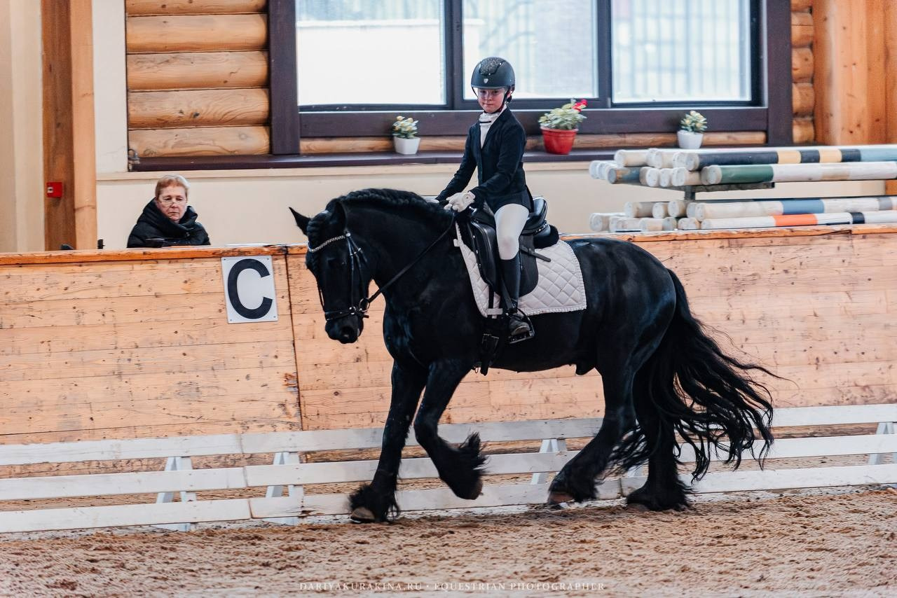 СОРЕВНОВАНИЯ «ЗИМНИЙ КУБОК КСК «ПЕГАС» ПО ВЫЕЗДКЕ. Куракина Дарья • Конный фотограф