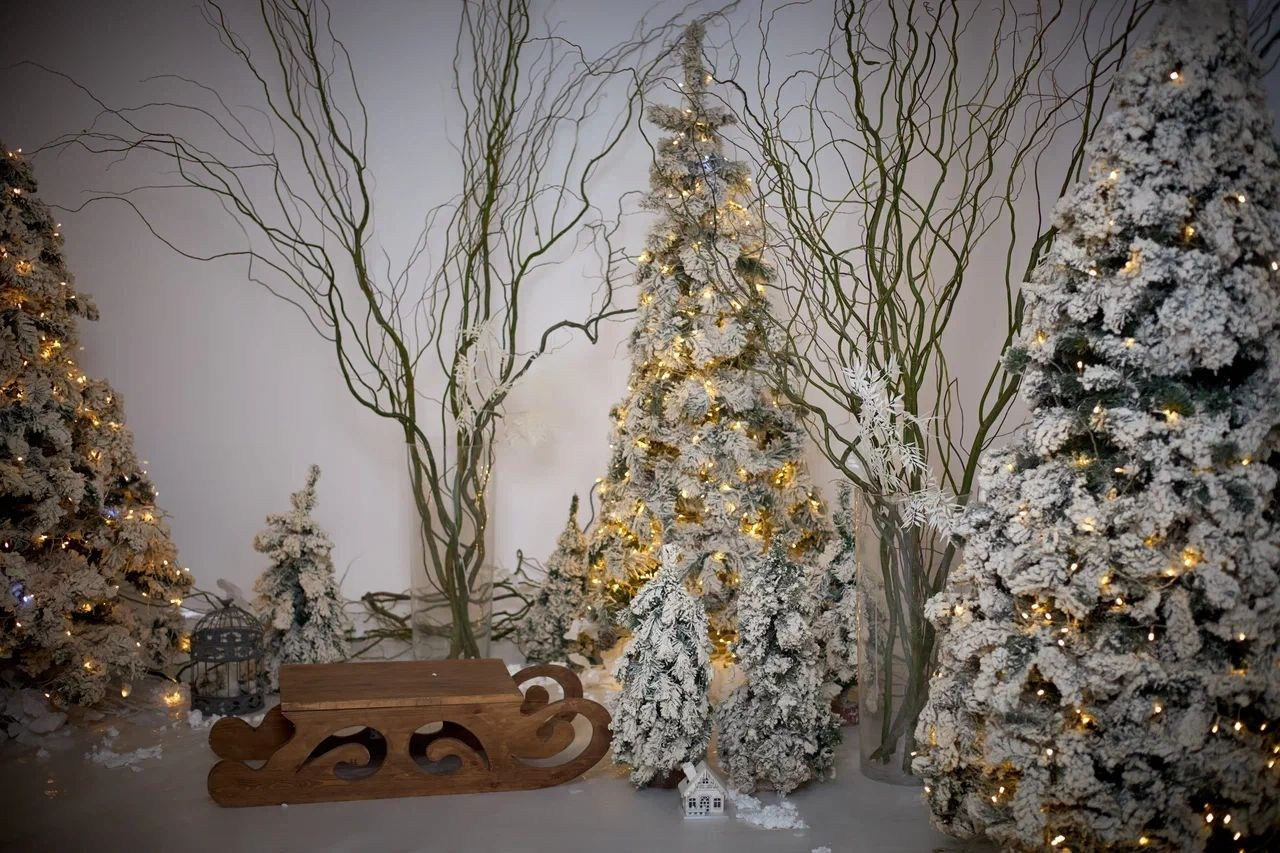 Новогодняя съемка. Главная