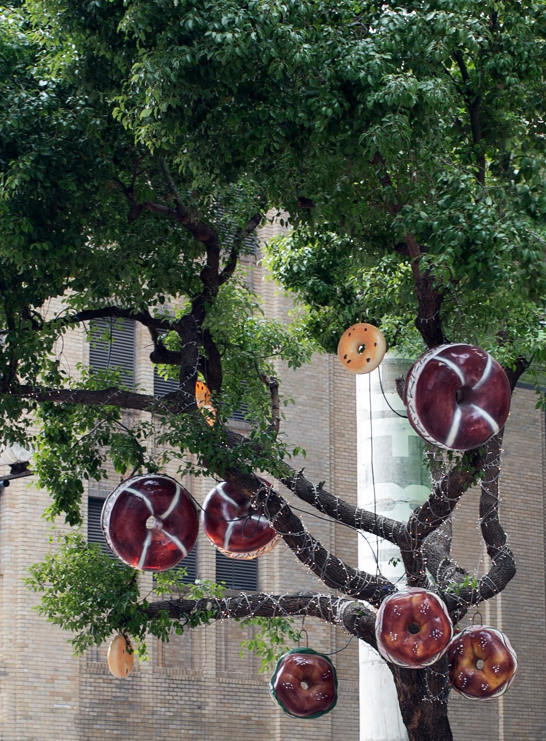 Китай'25: Пекин-Сиань-Шанхай. Фотограф-портретист в Москве