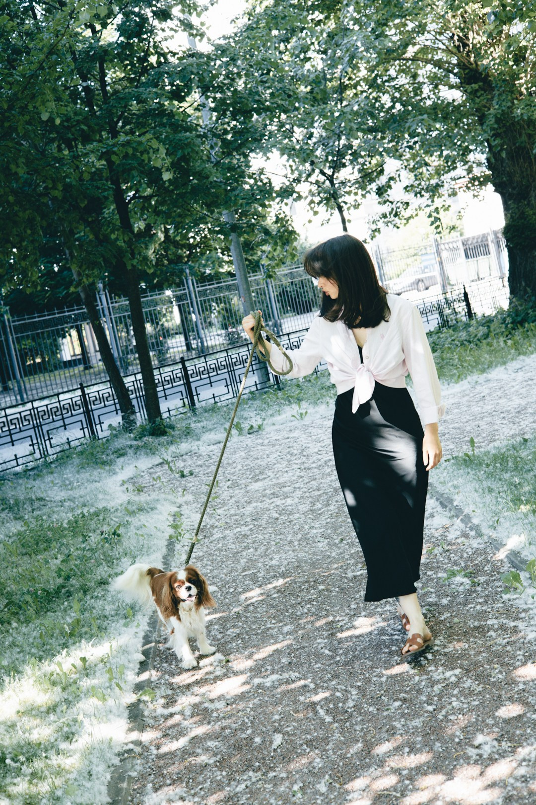 Dogs. Юлия Астра: Фотограф в Санкт-Петербурге. Снимаю женские портреты, уличные съёмки в Петербурге и людей с их собаками