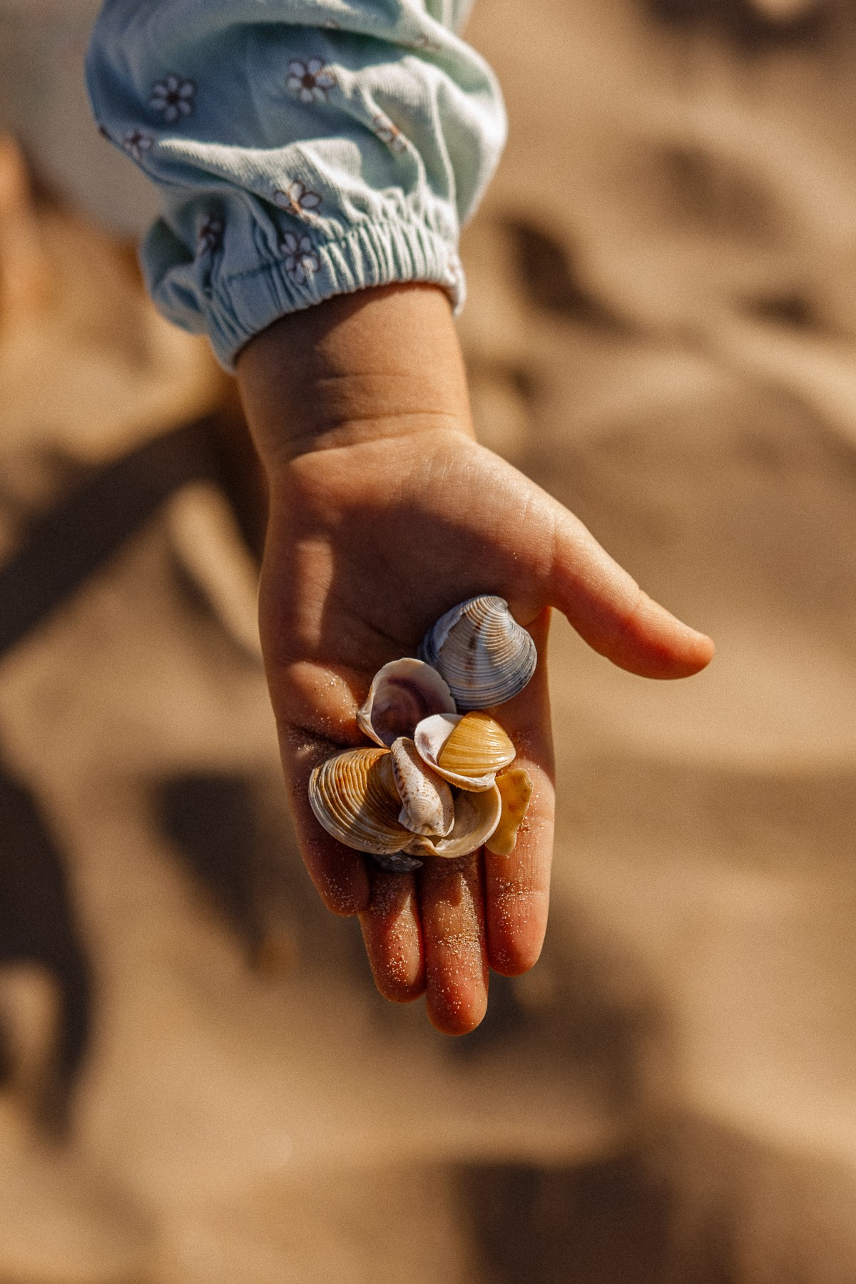 Даша —счастье быть вместе. Семейный фотограф Новороссийск, Анапа, Геленджик — Юлия Давыдова