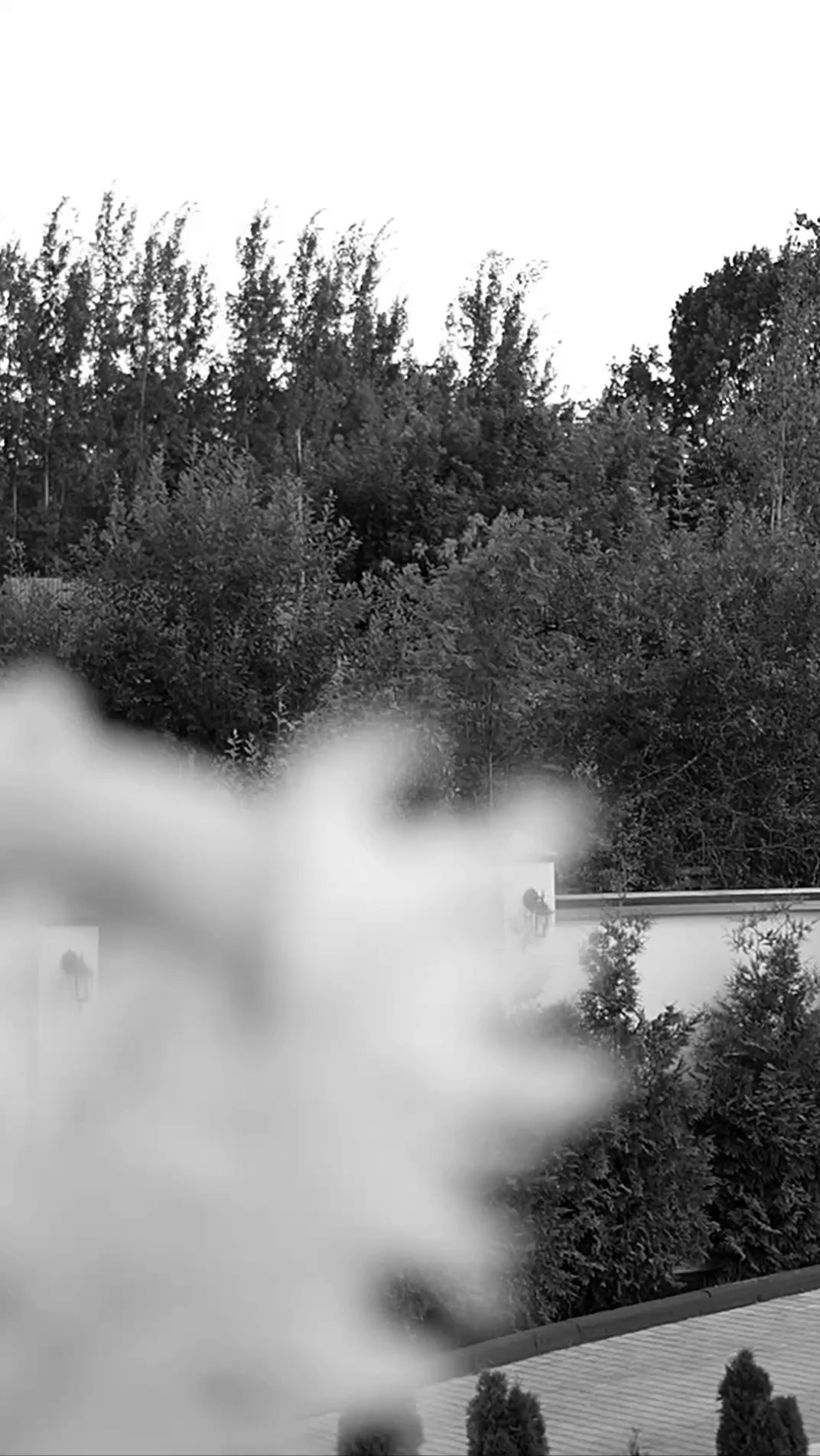 Wedding Reels. Genius