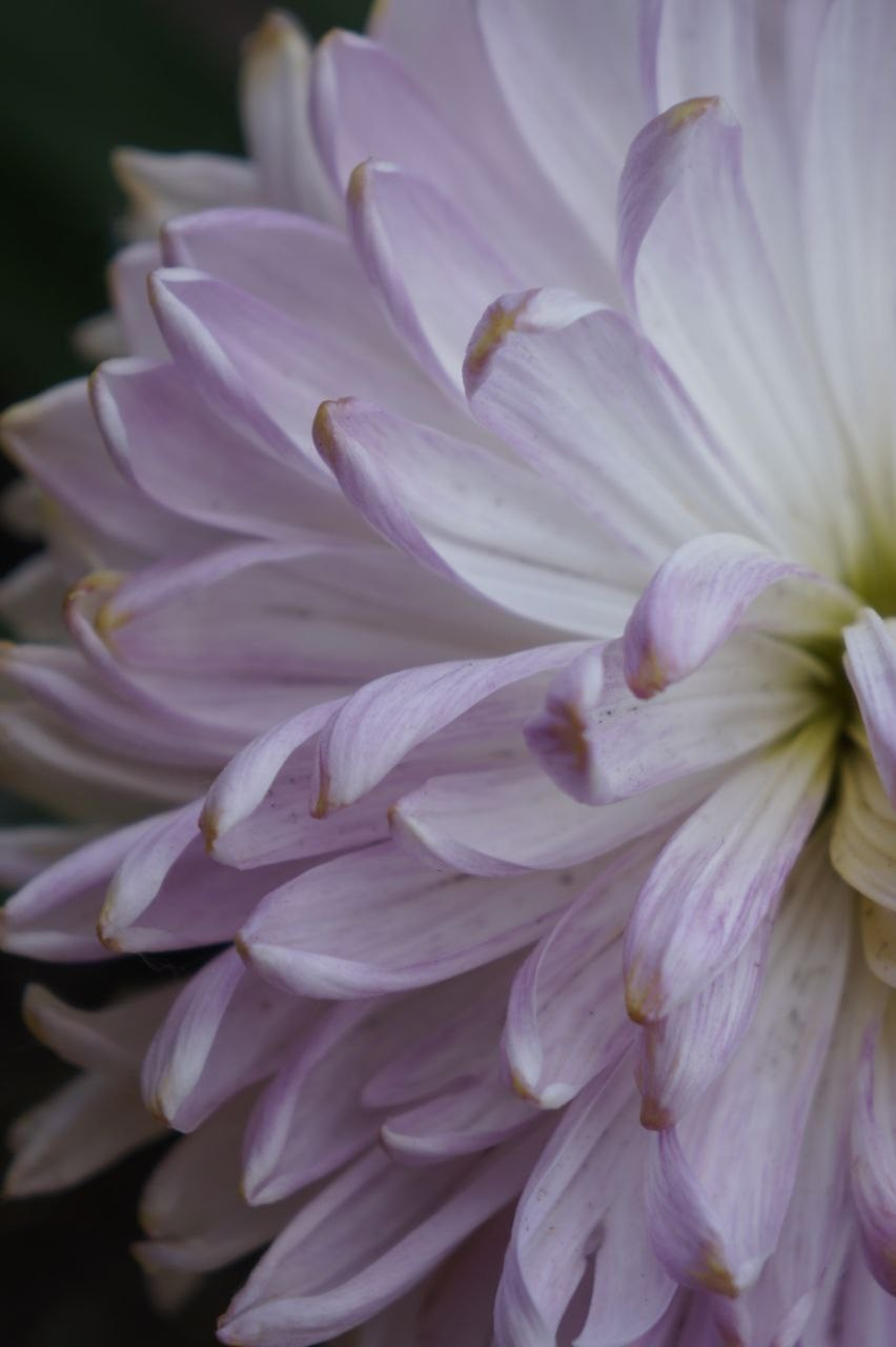 Портфолио. Фотограф в Москве Александра