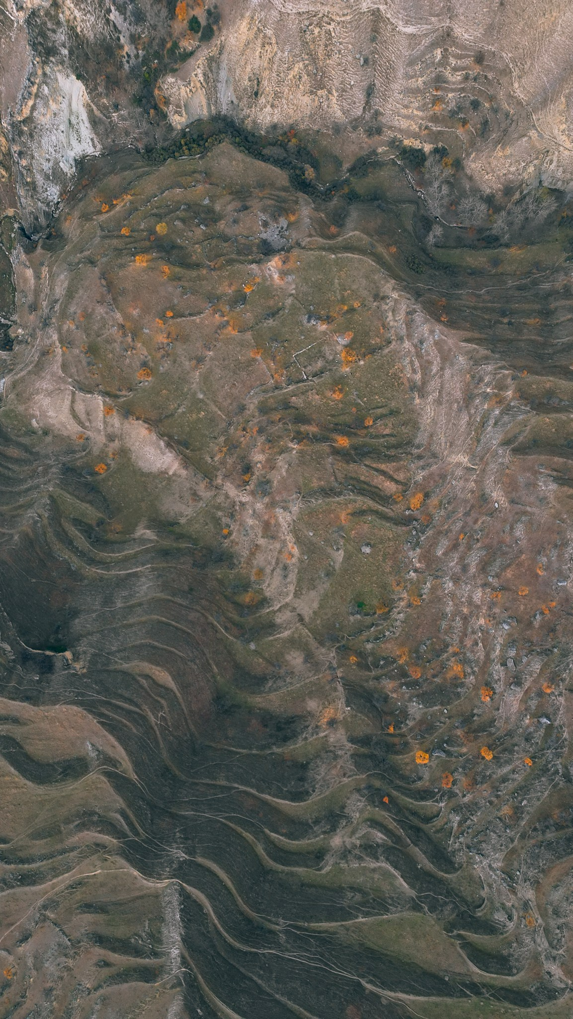 Дагестан 2023. Человек с фотокамерой